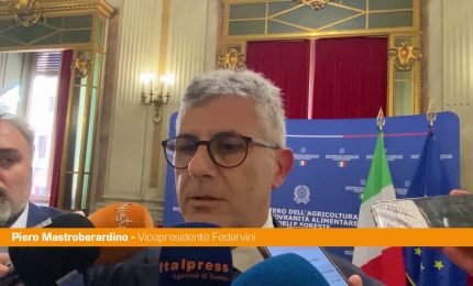 Mastroberardino "Rivedere il tema della sensibilit&agrave; della cultura del vino"