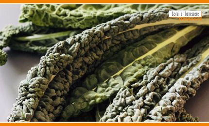 Sorsi di Benessere - Una crema di cavolo nero e ceci