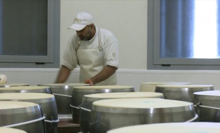 Cia lancia nuovo bando Bandiera Verde. Nel 2025 Premio Gold a Societ&agrave; Dall&rsquo;Aglio