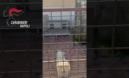 Canile lager con 26 barboncini toy  scoperto nel Napoletano