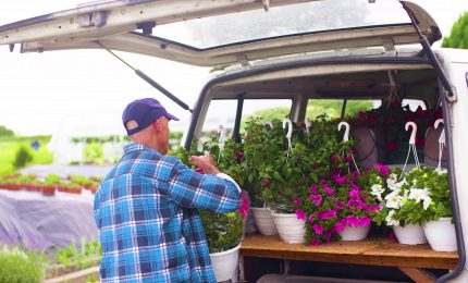 Florovivaismo, comparto strategico: produzione oltre 3 miliardi