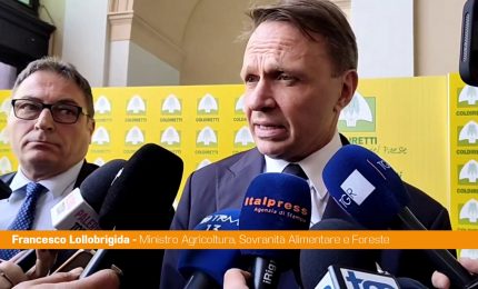 Lollobrigida "Controlli e verifiche su caro carburanti per evitare speculazioni"