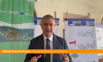 Pecoraro Scanio "Contro crisi energetica la sfida delle rinnovabili sostenibili"
