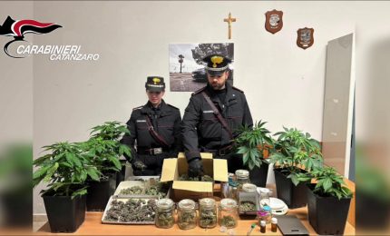Serre in casa per coltivare marijuana, arrestato un 55enne nel Vibonese