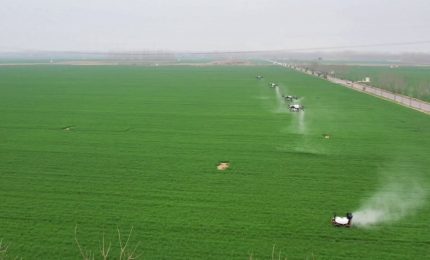 Cina, una fattoria smart trasforma la coltivazione dei cereali