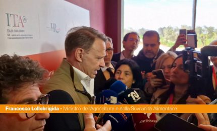 Lollobrigida "Ipotesi elezioni anticipate? Non mi risulta"