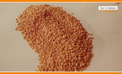 Sorsi di Benessere - L'insalata di lenticchie