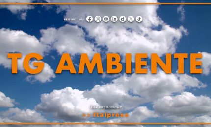 Tg Ambiente - 29/3/2026