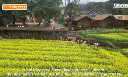 Cina, enormi distese di fiori attraggono i turisti nella provincia dell'Hunan