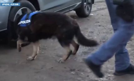 Maxi operazione antidroga a Crotone, 14 misure cautelari