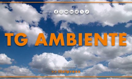 Tg Ambiente - 1/3/2026