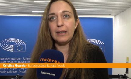 Ue, Guarda "Serve una strategia per l'autonomia energetica"