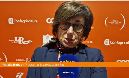 Bobba "Serve clausola di salvaguardia su riso importato"