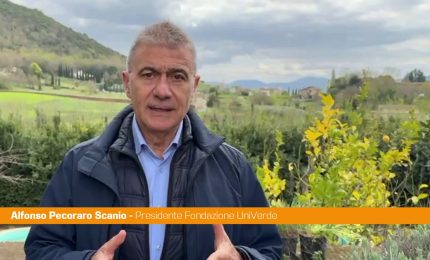 Pecoraro Scanio "L'arte italiana del presepe merita riconoscimento dell'Unesco"