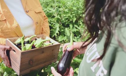 Prodotti locali, 8 italiani su 10 scelgono qualit&agrave; e sostenibilit&agrave;