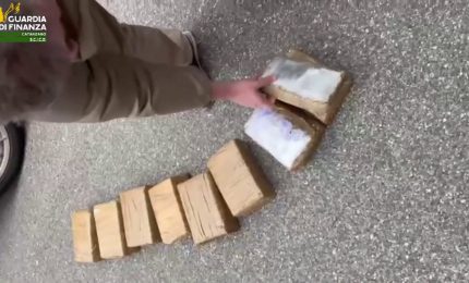 Traffico di droga all'ombra della &lsquo;Ndrangheta, 15 misure cautelari