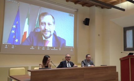 Steatosi epatica, confronto al Senato sulla presa in carico dei pazienti