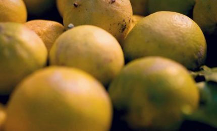 Imprese, la formazione leva strategica per l'internazionalizzazione