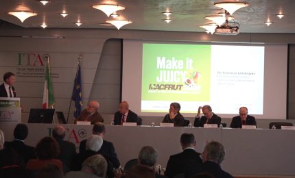 Macfrut, la filiera mondiale dell'ortofrutta si incontra a Rimini