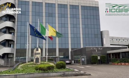 Tutela del Made in Italy,  sequestrati 2,5 milioni di litri di vino contraffatto