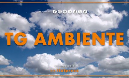 Tg Ambiente - 15/3/2026