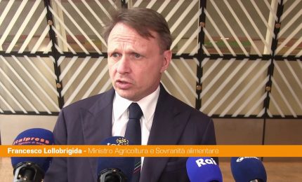 Agricoltura, Lollobrigida "Sui costi di produzione non si pu&ograve; pi&ugrave; perdere tempo"