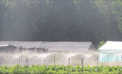 Nuove risorse per il Bando Agrisolare