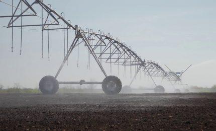 Economia circolare nei campi, imprese sempre pi&ugrave; green