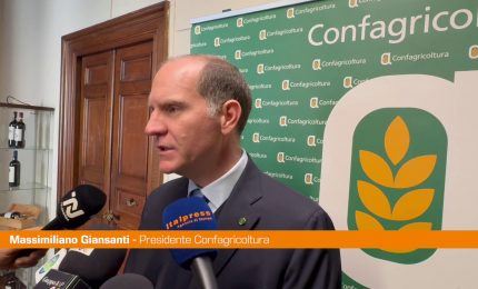 Giansanti "La salicoltura settore fondamentale per l'economia"