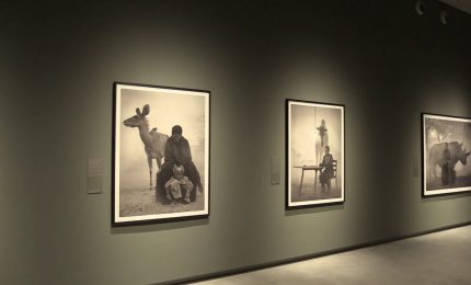 Torino, mostra "Nick Brandt" alle Gallerie d'Italia di Intesa Sanpaolo