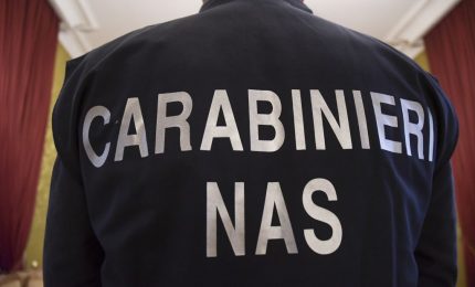 Blitz dei Nas in pasticcerie di Palermo, sequestrati 2 quintali di dolci pasquali