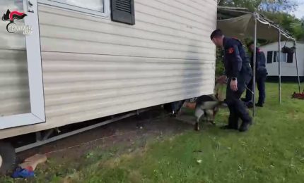 Furti in abitazione tra Friuli e Veneto: 5 misure cautelari, 4 in carcere