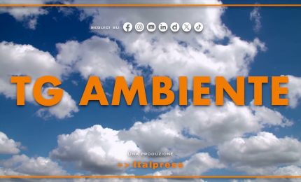 Tg Ambiente - 19/4/2026