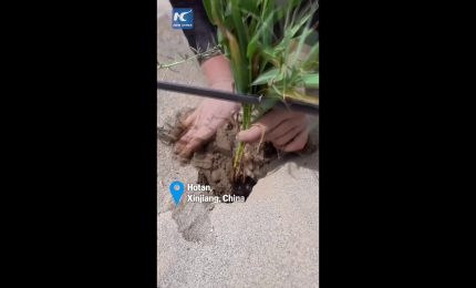 Dallo spazio al deserto cinese, cos&igrave; sta cambiando l'agricoltura