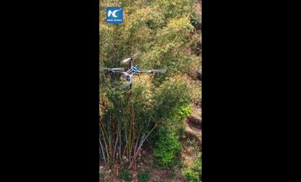 Cina, droni trasportano t&egrave; dalle piantagioni montane