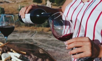 Enoturismo in forte crescita