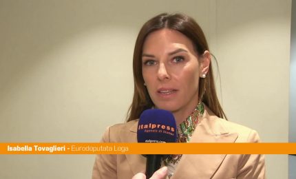 Ungheria, Tovaglieri "Tentativi di influenzare elezioni con ingerenze esterne"