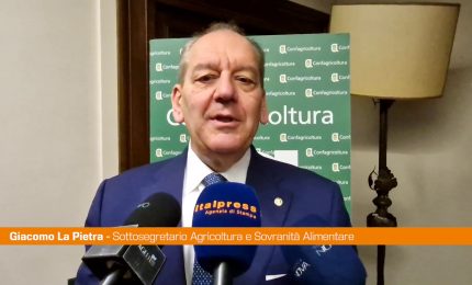 Agricoltura, La Pietra "Donne sono valore aggiunto per il settore"