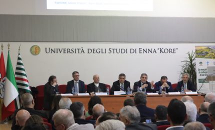 Aree interne siciliane a rischio desertificazione, a Enna stipulata un&rsquo;alleanza per rilanciarle