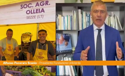Pecoraro Scanio "Basta cibi ultraprocessati, serve trasparenza e qualit&agrave;"