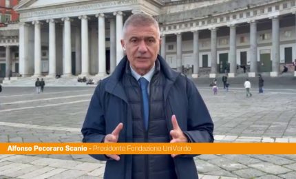 Legge elettorale, Pecoraro Scanio "Una petizione civica per le preferenze"