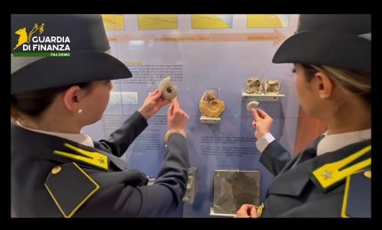 Palermo, sequestrati 17 reperti fossili risalenti a 50 milioni di anni fa