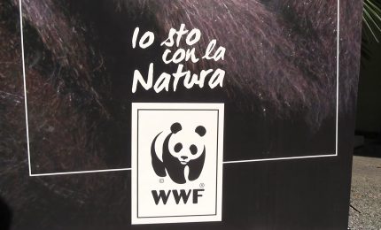 Sostenibilit&agrave;, al via la quinta edizione di "For Nature, For Us&rdquo;
