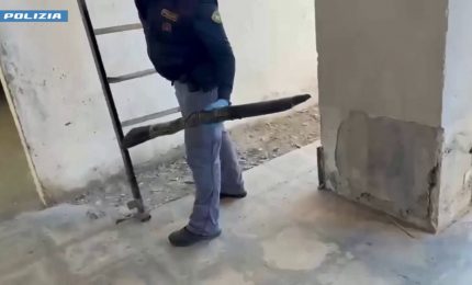 Catania, scoperto nascondiglio di armi e munizioni in edificio di Librino