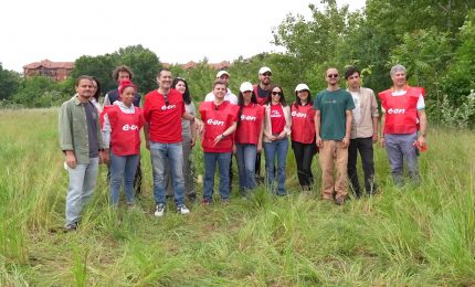 Progetto Boschi di E.ON, superati i 150 mila alberi piantati