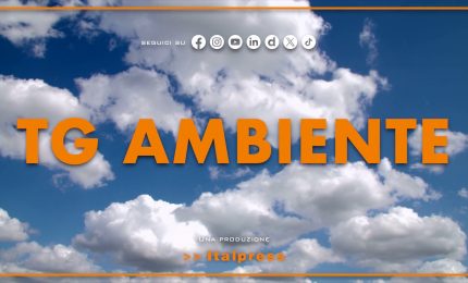 Tg Ambiente - 24/5/2026