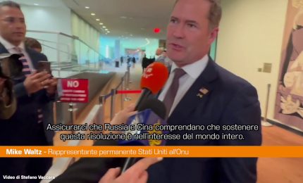 Onu, Waltz "Risoluzione per riaprire Hormuz &egrave; nell'interesse del mondo intero"