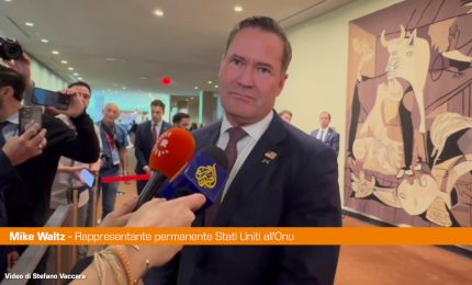 Waltz "Blocco navale a Cuba? Fake news"