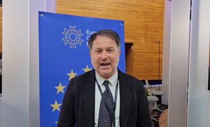 Milazzo "Fare tutto il necessario per proteggere le api"
