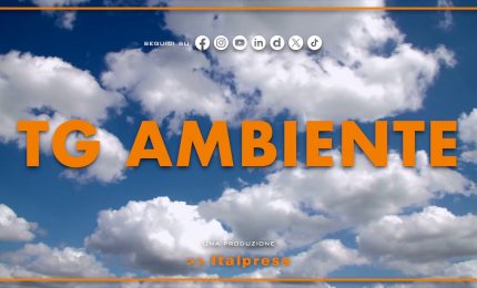 Tg Ambiente - 3/5/2026